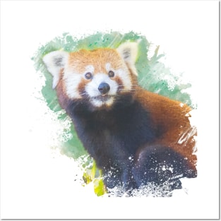 Red Panda Animal Wildlife Jungle Nature Safari Watercolor Posters and Art